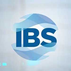 IBS Gestão Empresarial